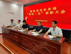 市水务局召开“两优一先”表彰大会
